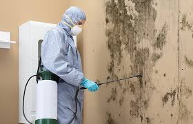 Best Mold Damage Restoration  in West End, NY